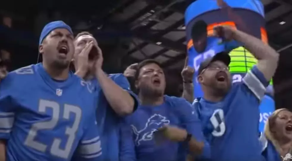 sad news: Lions fans brought to tears after heartbreaking during