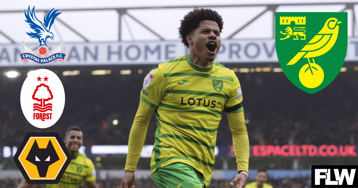 BREAKING NEWS: Norwich sold midfielder Gabriel Sara to Crystal palace  for €67 million