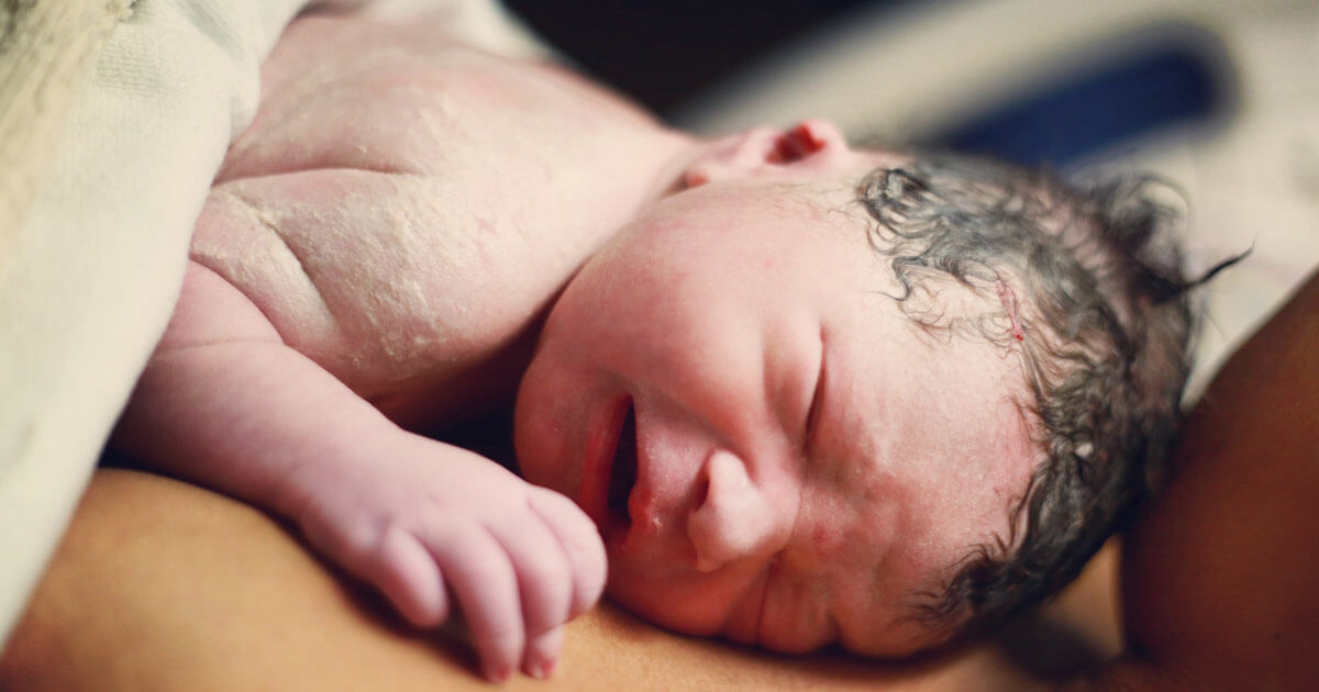 CONGRATULATION: Danny Hamlin Excitedly Welcomes Another Addition to His Family as Wife Jordan Fish Radiates Joy
