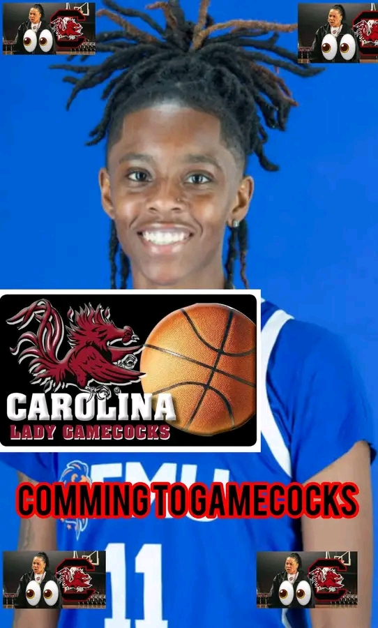 DONE DEAL: No. 1 Player in Germany Commits to Gamecocks Over Georgia and Tennessee following their…..